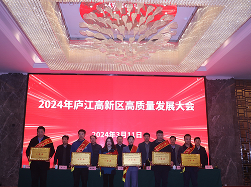 【喜报】LETOU乐投电气荣获2023年庐江高新区企业高质量发展一等奖！